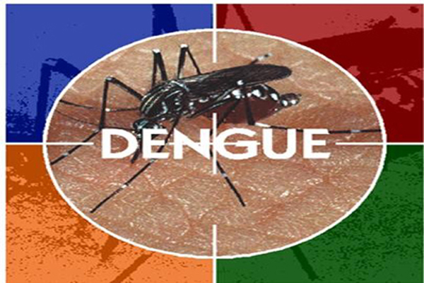 डेंगू , चिकनगुनिया से क्या घबराना स्मार्ट फोन है ना