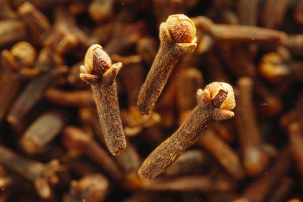WOW लौंग हैं स्वास्थ्य के लिए लाभकारी WOW लौंग हैं स्वास्थ्य के लिए लाभकारी