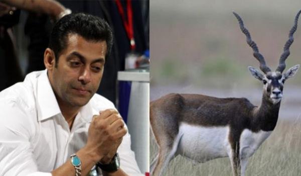 सलमान खान हिरण शिकार मामले में सरकार की अर्जी पर फैसला गुरुवार को सलमान खान हिरण शिकार मामले में सरकार की अर्जी पर फैसला गुरुवार को