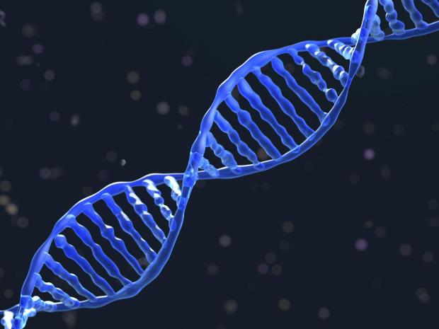 महिला के शरीर में पाया गया जुड़वा बहन का डीएनए