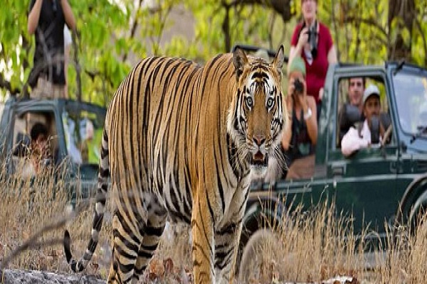 इस बार तो हो आइए नेशनल पार्क इस बार तो हो आइए नेशनल पार्क