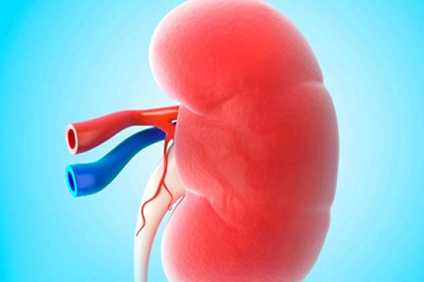 use-these-eight-methods-to-cure-kidney-disease