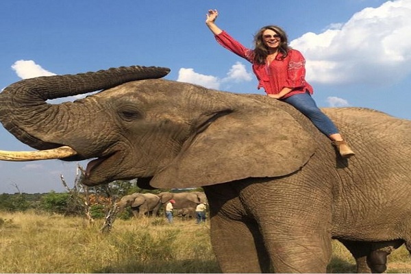 एलिजाबेथ हर्ले ने शूटिंग ब्रेक में की हाथी की सवारी