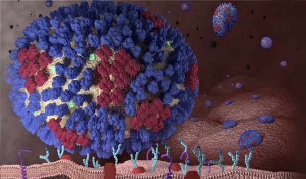 कैंसर कोशिकाएं नष्ट करने वाली एंटीबॉडी की पहचान