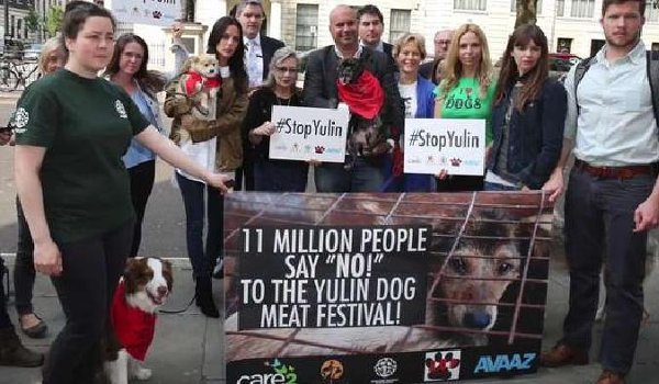 चीन के युलिन महोत्सव में कुत्ते के मांस पर प्रतिबंध