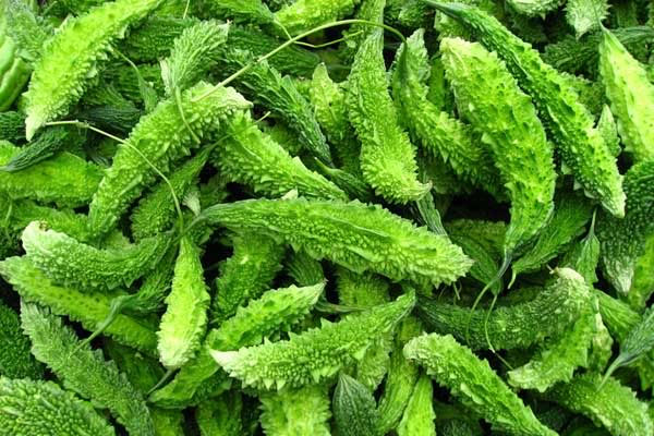 HEALTH TIPS करेले के फायदे तो सुने ही होंगे लेकिन पढ़ ले नुक्सान भी