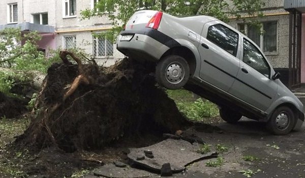 रूस की राजधानी मॉस्को में तूफान से 11 की मौत