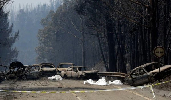 पुर्तगाल के जंगल में लगी भीषण आग में अब तक 62 मरे