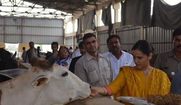 उत्तरप्रदेश : कान्हा उपवन के लिए हुई नियमों की अवहेलना उत्तरप्रदेश : कान्हा उपवन के लिए हुई नियमों की अवहेलना