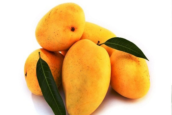 so many health benefits of mango