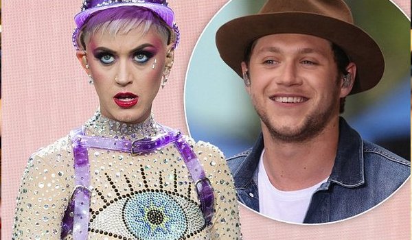 Niall Horan Reacts to Katy Perry's Claim That He Tried to Flirt With Her