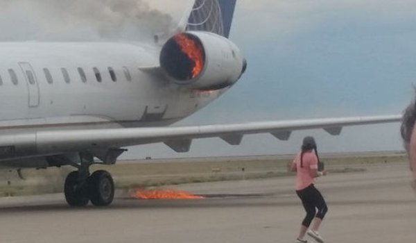 एयरएशिया विमान की पक्षियों से टकराने के बाद आपात लैडिंग