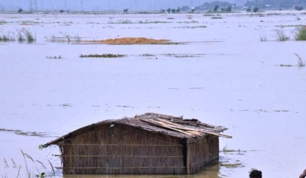भीषण बाढ़ की चपेट में असम, 44 की मौत