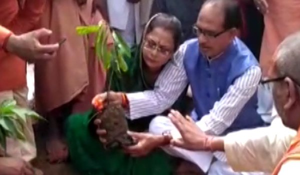 Madhya Pradesh govt eyes Guinness World Record by planting six crore saplings along Narmada