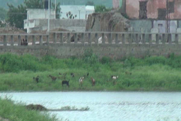 नया डेस्टिनेशन बनने की राह पर नेला तालाब नया डेस्टिनेशन बनने की राह पर नेला तालाब