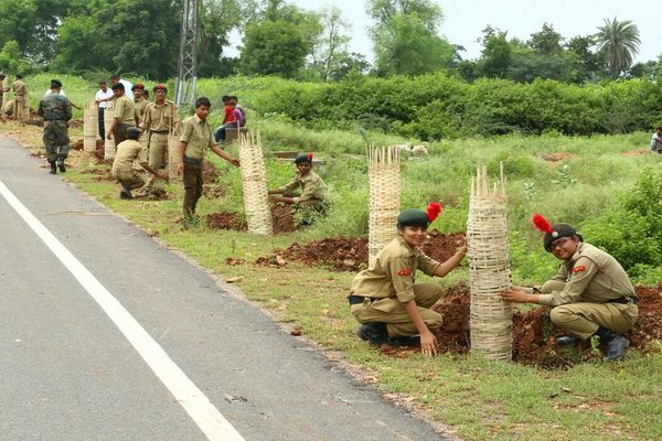 एक्शन उदयपुर के तहत 1100 से अधिक पौधे लगाए