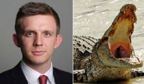 Body of british journalist presumed killed by crocodile found in Sri Lanka