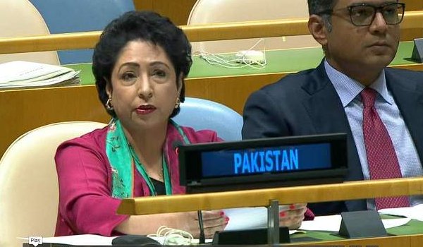 पाकिस्तान ने अरुंधति के उद्धरण के सहारे किया सुषमा के भाषण पर पलटवार