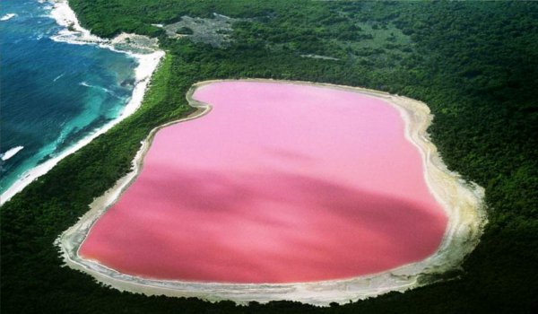 चीन में खारे पानी की झील का रंग हुआ गुलाबी