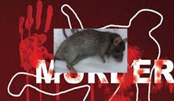 हाथरस में मर्डर की सूचना पर पहुंची पुलिस को मिला मरा चूहा