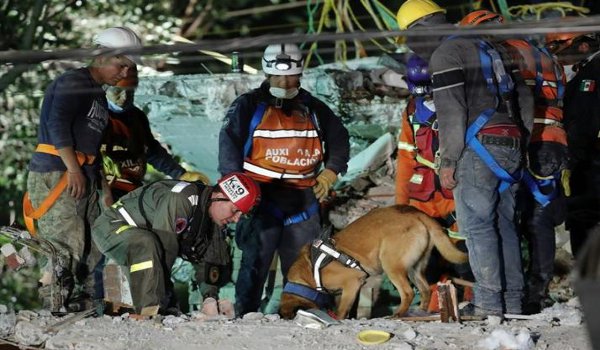 मेक्सिको में भूकंप से मरने वालों की संख्या 292 हुई