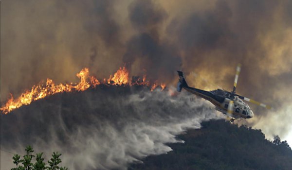 जंगल की आग पर लॉस एंजेलिस में आपातकाल घोषित