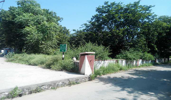 Exclusive:सिर्फ डीएलसी पर बेशकीमती जमीन भाजपा को आवंटित, कार्यालय भवन के लिए निकाला आपत्ति नोटिस Exclusive:सिर्फ डीएलसी पर बेशकीमती जमीन भाजपा को आवंटित, कार्यालय भवन के लिए निकाला आपत्ति नोटिस