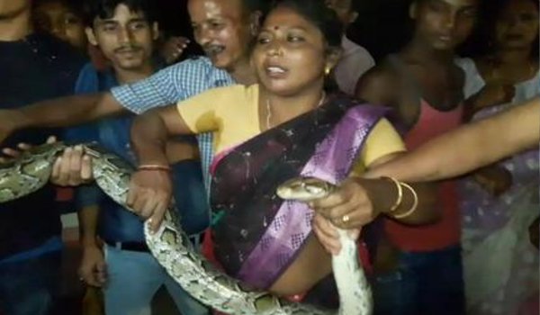 woman caught python in Guwahati