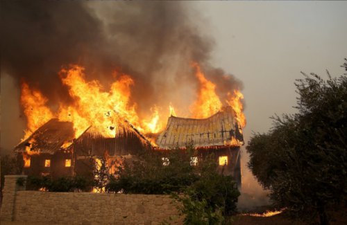 कैलिफोर्निया के जंगल में लगी आग में 10 की मौत