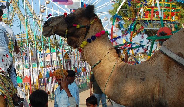 अजमेर जिले की शॉर्ट न्यूज : क्लीक करें और पढें अजमेर जिले की शॉर्ट न्यूज : क्लीक करें और पढें