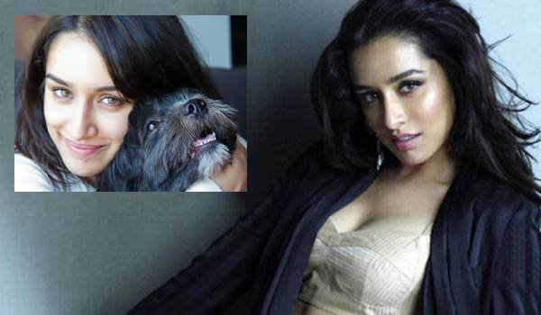 Shraddha Kapoor takes stand for animals this Diwali