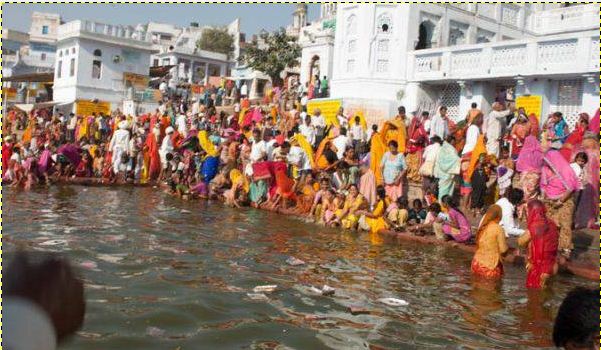 पुष्कर की धरा पर देवी-देवताओं का विहार, देशी-विदेशी पर्यटक उमड़े