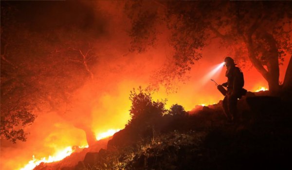 कैलिफोर्निया के जंगलों में आग से अब तक 23 की मौत