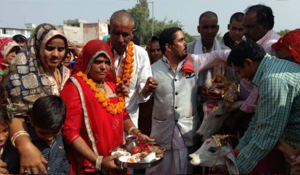 मृत्युभोज की जगह नंदी विवाह कर सोलंकी परिवार ने कमाया पुण्य