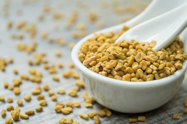 Eating fenugreek tea reduces the pain of periods