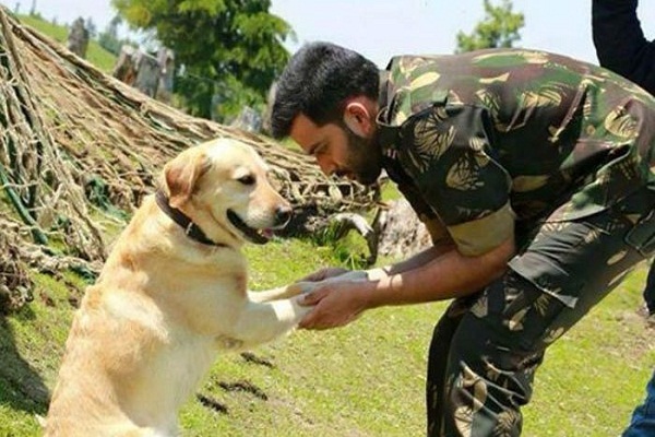 INDIAN ARMY में कुत्तों को रिटायरमेंट के बाद मार दी है जाती गोली