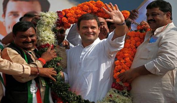 Rahul Gandhi elected party chief unopposed, says congress