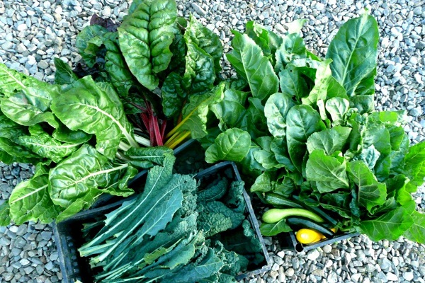 Green leafy vegetables will remove these deadly diseases of your body