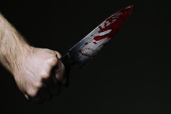 Bihar chief's son knives murdered