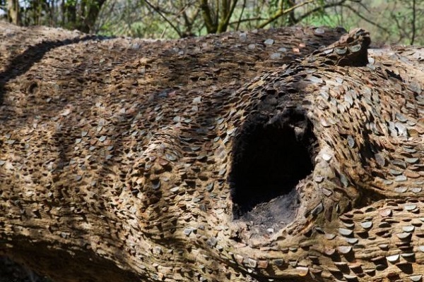 OMG! Here's the money on the tree OMG! Here's the money on the tree OMG! Here's the money on the tree OMG! Here's the money on the tree