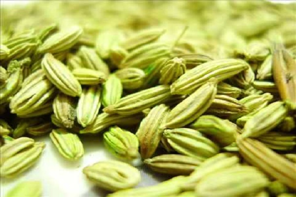 Fennel is clean by eating food