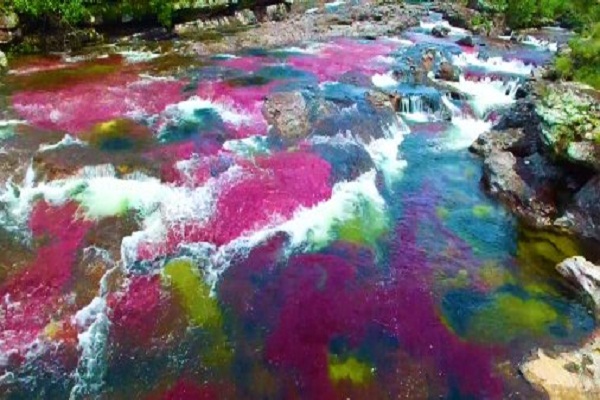 Tours of 'River of 7 Colors' in ColombiaTours of 'River of 7 Colors' in Colombia
