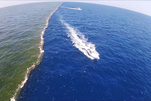 Tours of the confluence of two oceans