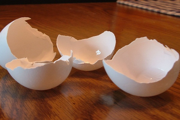 Use egg shells to enhance beauty