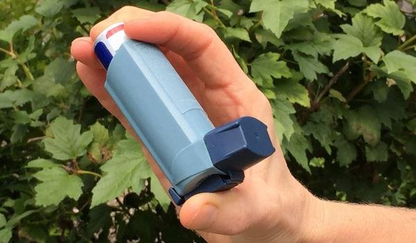 New ingestible antibody to prevent allergy, asthma