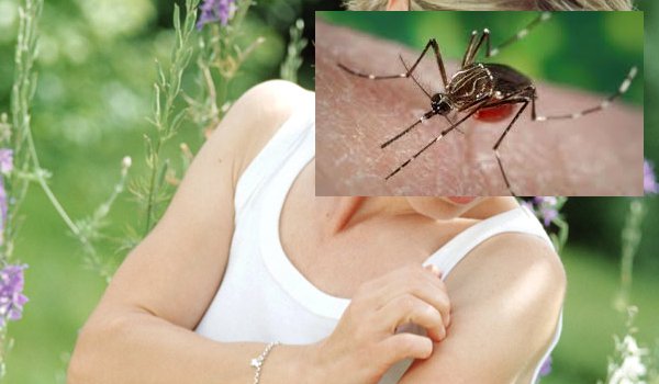 Researchers find mosquito bites can be avoided with one simple move