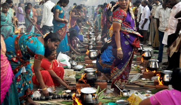 Tamil Nadu celebrates Pongal with traditional fervour