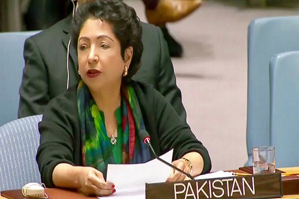 Jadhav raised issue during Pakistan's discussion in the Security Council