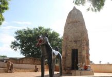 Surprisingly: Know why it is worshiped dog in this temple