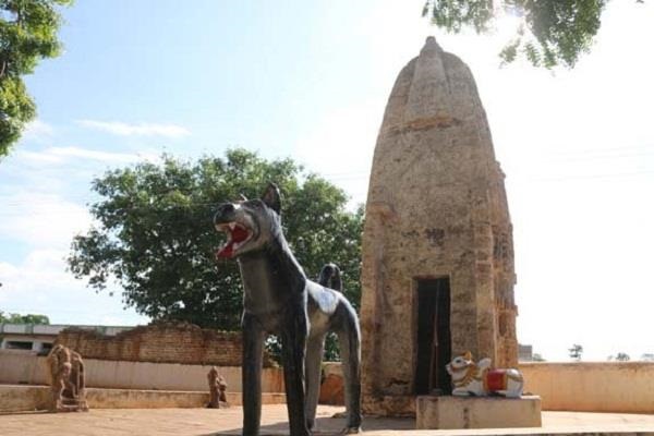 Surprisingly: Know why it is worshiped dog in this temple